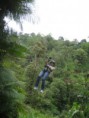 /album/fotogaleria/canopy-jpg/